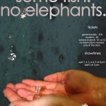Poster Design for Eckerd College's Production of "Rain. Some Fish. No Elephants."
